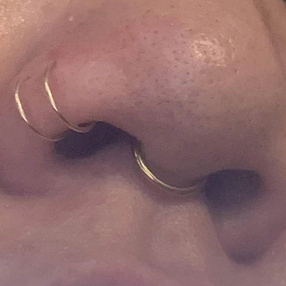 Faux anneaux de nez et faux se - Body Jewelry Nose Studs avis et prix